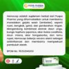 Hemocap