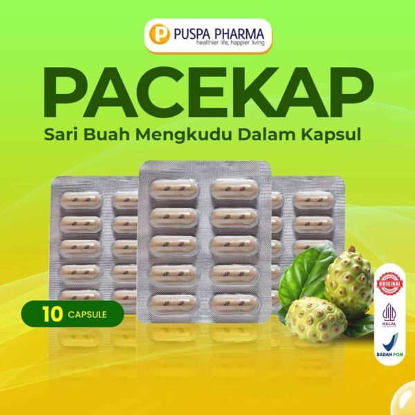 Pacekap Box